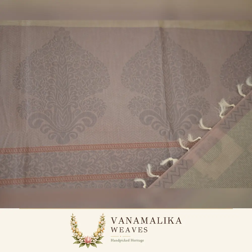 Floral & Zigzag Coimbatore South Cotton Saree — Ivory — view 2