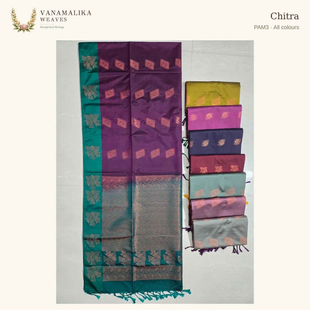 Chitra PAM3 — All colours, full saree body and pallu