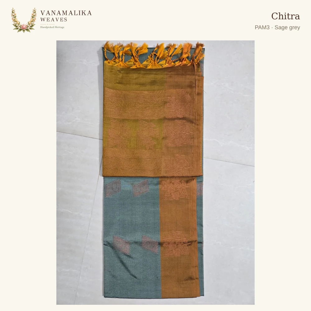 Chitra PAM3 — Sage grey, full saree body and pallu